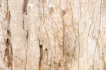 Decayed grunge old wood skin seamless patterns , nature wall light brown background