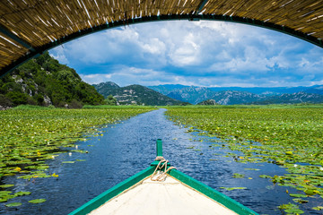 Montenegro, On a boat on waterway through green lily plants covering surface of skadar lake, a popular tourist destination and beautiful nature landscape - obrazy, fototapety, plakaty