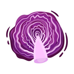 Obraz premium Purple cabbage cabbage. Vector illustration on white background.