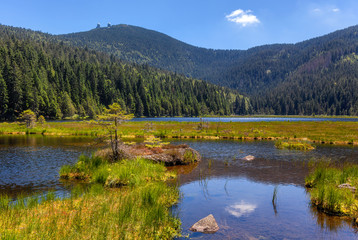 Small lake on great arber, view with great arber behind, copy space