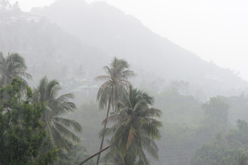 Fototapeta na wymiar Heavy tropical rain on the coast of Koh Samui, Thailand