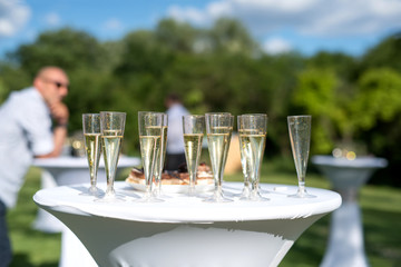 Welcome drink, view of glasses filled with champagne on a table in a garden - selective focus