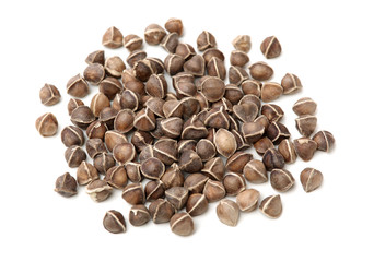 Organic Wingless Moringa (Moringa oleifera) seeds on white background