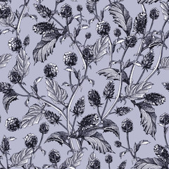 Psoralea herb seamless pattern from  flowers with leaves. Hand drawn bakuchiol,  organic healthy herb (natural retinol) with black ink, isolated  on light grey background.