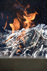 flame above the burning wood