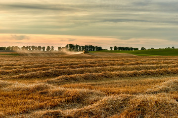 Working Harvesting Combine in the Field of Wheat, Poland