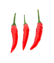 Red chilli peppers on white background