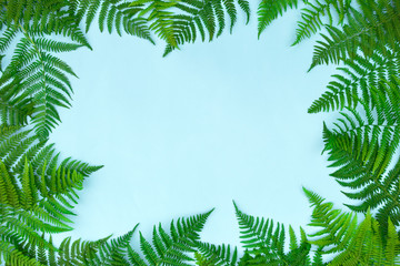 Fototapeta na wymiar Frame made of green fern leafs, palm frond on light background. Abstract tropical leaf background, trendy creative design. Flat lay, top view, copy space