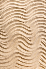 Fototapeta na wymiar Close background of clean sea sand, top view, vertical composition