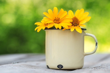 Yellow flowers in old metal cup