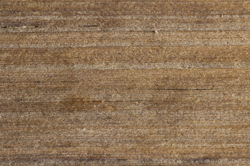 Old book pages texture. Closeup of old book pages texture