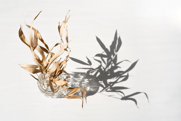 Dry bamboo tree branch or flower in white vase in front of white wall with light and shadow from window reflect on the wall.