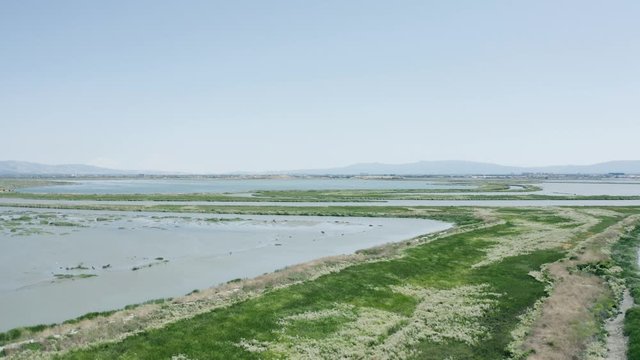 green field and wetland with river