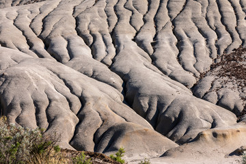 The Badlands of Albert in Canada