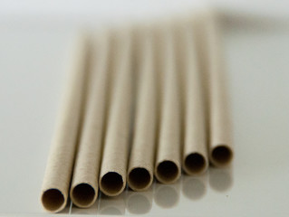 Graspapier Trinkhalm - Grashalme