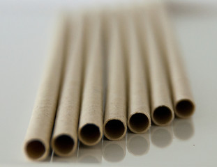 Graspapier Trinkhalm - Grashalme