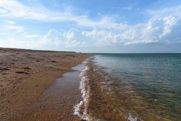 sandy shore and small shells in the sand with clear blue water on a clear sunny day with clouds in the sky. .