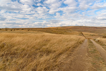 Fototapeta premium The endless steppe of the Opuksky nature reserve with yellow grass in cloudy weather with clouds on the sky, shot during the season of golden autumn. Yellow-golden-brown color.