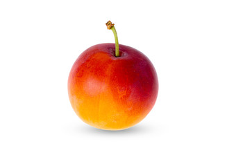 red plum on a white background with shadows