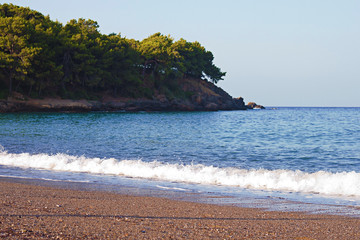 View of the wild beach with a wave rolling on the shore and a wooded cliff in the background