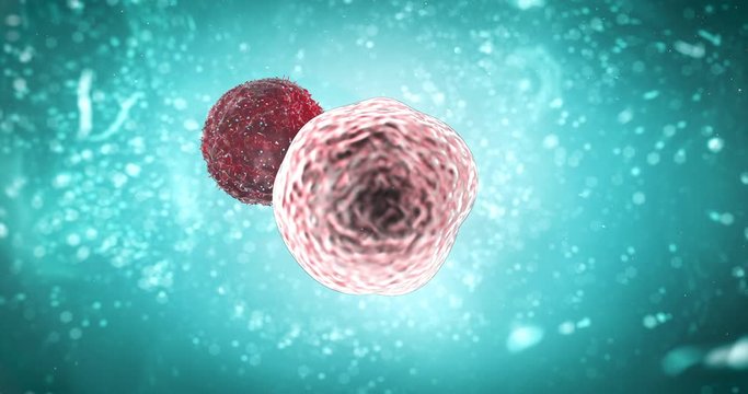 T-cell attacking and destroying cancer cell virus immunotherapy concept 3d rendering 