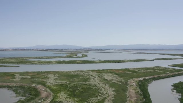 green field and wetland with river