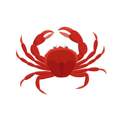 Crab vector illustration in flat design isolated on white background.