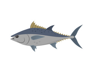 Tuna fish vector illustration in flat design isolated on white background.