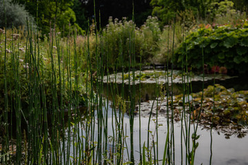 See Botanischer Garten Wuppertal