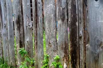 wooden house