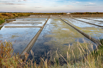 Salt evaporation pond in Salterns of Guerande, France