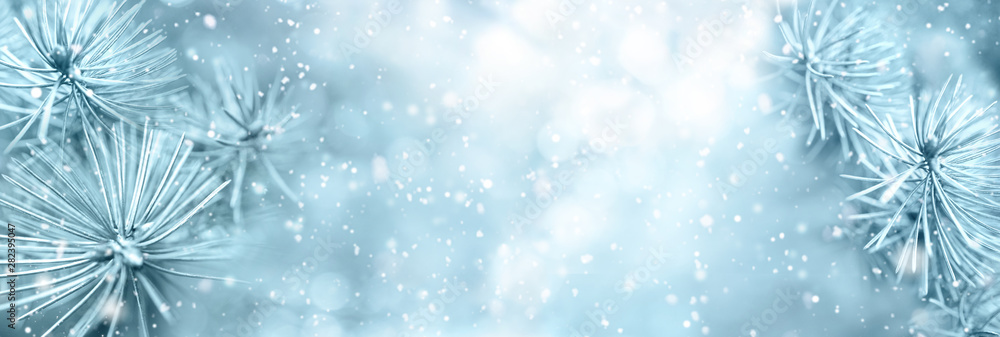 Poster Christmas winter snow background with fir branches macro with soft focus and snowfall in blue tones with beautiful bokeh. Banner format, copy space.