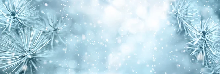 Crédence de cuisine en verre imprimé Bleu clair Christmas winter snow background with fir branches macro with soft focus and snowfall in blue tones with beautiful bokeh. Banner format, copy space.