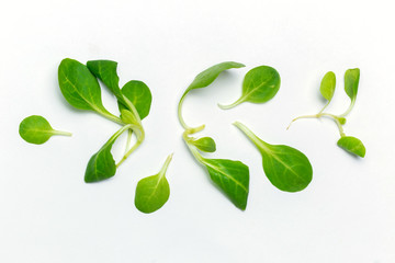 Spinach leaves close up isolated on white background