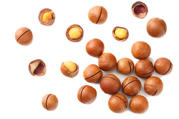 Macadamia nut isolated on a white background. top view