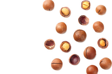 Macadamia nut isolated on a white background. top view