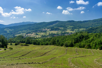Fototapeta na wymiar Road to Prato Barbieri, landscape of Appennino