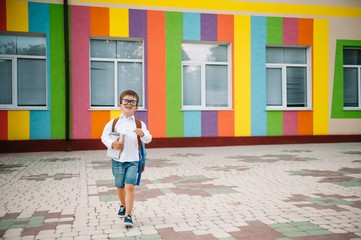 Back to school. Happy smiling boy in glasses is going to school for the first time. Child with backpack and book outdoors. Beginning of lessons. First day of fall.
