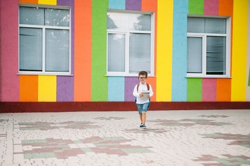 Back to school. Happy smiling boy in glasses is going to school for the first time. Child with backpack and book outdoors. Beginning of lessons. First day of fall.