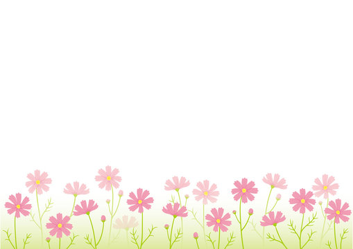 23 676 件の最適な 秋桜 画像 ストック写真 ベクター Adobe Stock 23 676 件の最適な 秋桜 画像 ストック写真 ベクター Adobe Stock