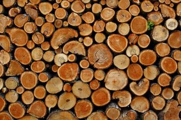Möbelaufkleber masonry sawn logs texture © oksnemova