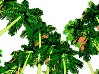 Palm tree made in 3D Render