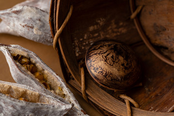 Brown chocolate candy on nature background