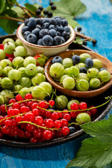 Fototapeta na wymiar Fresh harvest of summer berry close-up