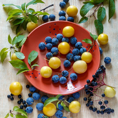 Ripe wild berries of elderberry, cherry plum, Prunus spinosa on a red plate on a wooden background.
