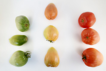 ripening stages of green to red