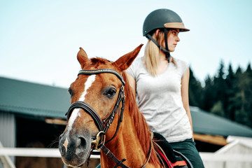 Obraz premium young girl rider in equipment on horseback. Horseback Riding.