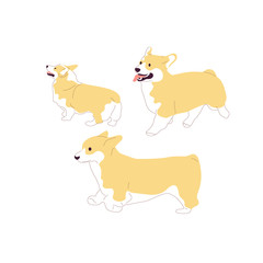 Set of corgi dogs. Isolated on white background. Flat style cartoon stock vector