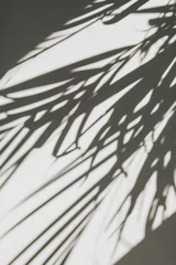 Neutrale Blumenkomposition mit tropischer Palmzweigsilhouette. Flache Lage, Draufsicht Florist minimaler exotischer Naturhintergrund. © Floral Deco