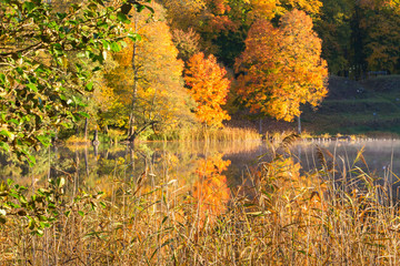 Lake and forest in autumn colors